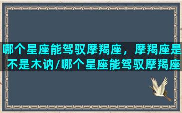 哪个星座能驾驭摩羯座，摩羯座是不是木讷/哪个星座能驾驭摩羯座，摩羯座是不是木讷-我的网站