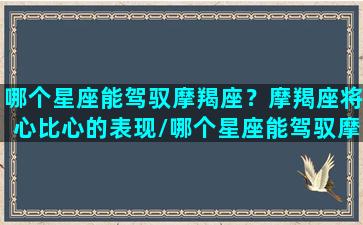 哪个星座能驾驭摩羯座？摩羯座将心比心的表现/哪个星座能驾驭摩羯座？摩羯座将心比心的表现-我的网站