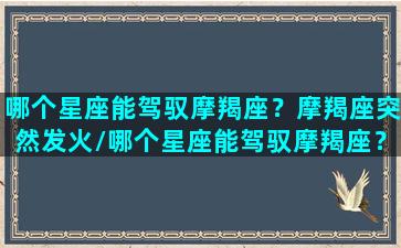 哪个星座能驾驭摩羯座？摩羯座突然发火/哪个星座能驾驭摩羯座？摩羯座突然发火-我的网站