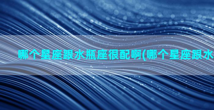 哪个星座跟水瓶座很配啊(哪个星座跟水瓶座不和)