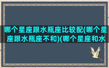 哪个星座跟水瓶座比较配(哪个星座跟水瓶座不和)(哪个星座和水瓶座最般配)