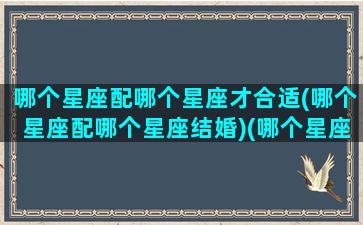 哪个星座配哪个星座才合适(哪个星座配哪个星座结婚)(哪个星座搭配哪个星座)