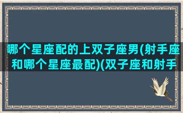 哪个星座配的上双子座男(射手座和哪个星座最配)(双子座和射手座什么座最配)