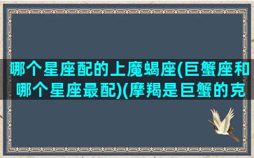 哪个星座配的上魔蝎座(巨蟹座和哪个星座最配)(摩羯是巨蟹的克星)