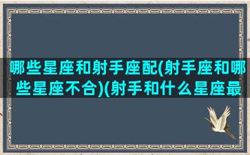 哪些星座和射手座配(射手座和哪些星座不合)(射手和什么星座最不合)