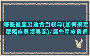 哪些星座男适合当领导(如何搞定摩羯座男领导呢)/哪些星座男适合当领导(如何搞定摩羯座男领导呢)-我的网站