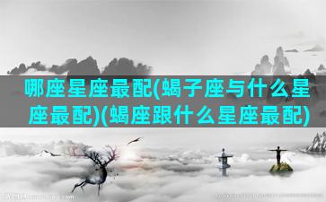 哪座星座最配(蝎子座与什么星座最配)(蝎座跟什么星座最配)