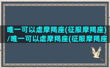 唯一可以虐摩羯座(征服摩羯座)/唯一可以虐摩羯座(征服摩羯座)-我的网站