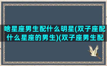 啥星座男生配什么明星(双子座配什么星座的男生)(双子座男生配什么星座排行)