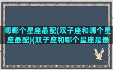 嗯哪个星座最配(双子座和哪个星座最配)(双子座和哪个星座是最配的)