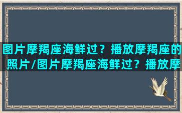 图片摩羯座海鲜过？播放摩羯座的照片/图片摩羯座海鲜过？播放摩羯座的照片-我的网站