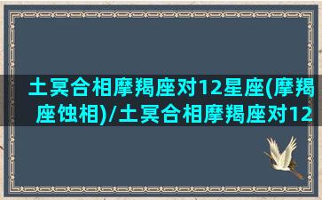 土冥合相摩羯座对12星座(摩羯座蚀相)/土冥合相摩羯座对12星座(摩羯座蚀相)-我的网站