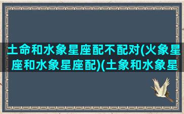 土命和水象星座配不配对(火象星座和水象星座配)(土象和水象星座合适吗)