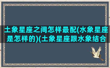 土象星座之间怎样最配(水象星座是怎样的)(土象星座跟水象结合好不好)