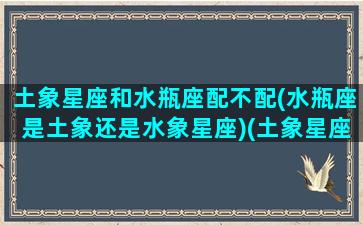 土象星座和水瓶座配不配(水瓶座是土象还是水象星座)(土象星座遇到水瓶)