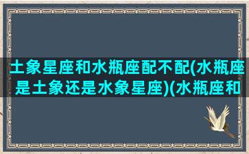 土象星座和水瓶座配不配(水瓶座是土象还是水象星座)(水瓶座和土象星座最配)