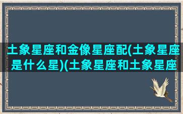 土象星座和金像星座配(土象星座是什么星)(土象星座和土象星座在一起合适吗)