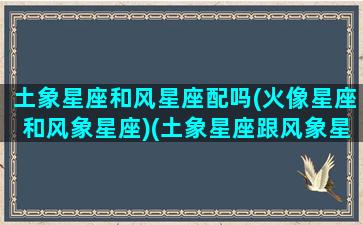 土象星座和风星座配吗(火像星座和风象星座)(土象星座跟风象星座)