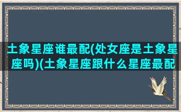 土象星座谁最配(处女座是土象星座吗)(土象星座跟什么星座最配对)