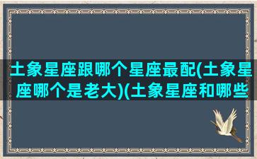 土象星座跟哪个星座最配(土象星座哪个是老大)(土象星座和哪些星座可以相配)