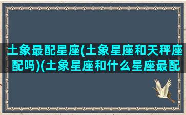 土象最配星座(土象星座和天秤座配吗)(土象星座和什么星座最配)