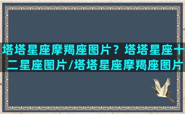 塔塔星座摩羯座图片？塔塔星座十二星座图片/塔塔星座摩羯座图片？塔塔星座十二星座图片-我的网站