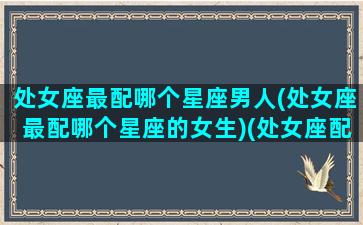 处女座最配哪个星座男人(处女座最配哪个星座的女生)(处女座配什么星座的男生最好)