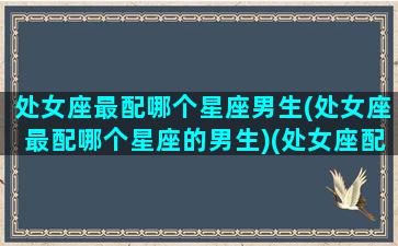 处女座最配哪个星座男生(处女座最配哪个星座的男生)(处女座配什么星座男)