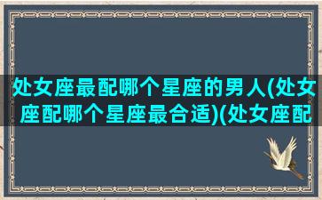 处女座最配哪个星座的男人(处女座配哪个星座最合适)(处女座配对什么星座的男生)