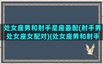 处女座男和射手星座最配(射手男处女座女配对)(处女座男和射手座配对指数)