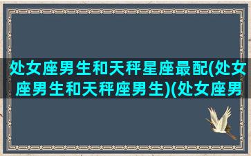 处女座男生和天秤星座最配(处女座男生和天秤座男生)(处女座男和天秤座女星座配对分析)