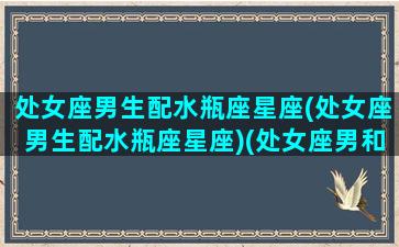 处女座男生配水瓶座星座(处女座男生配水瓶座星座)(处女座男和水瓶座配不配)