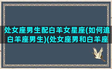 处女座男生配白羊女星座(如何追白羊座男生)(处女座男和白羊座最配对指数)