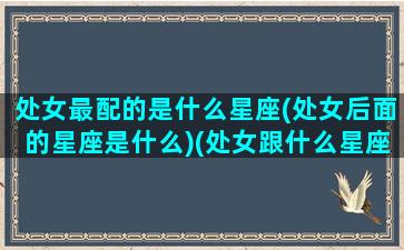 处女最配的是什么星座(处女后面的星座是什么)(处女跟什么星座最配对指数)