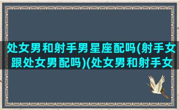 处女男和射手男星座配吗(射手女跟处女男配吗)(处女男和射手女匹配度)