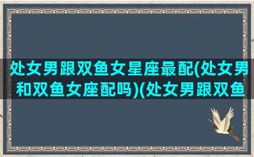 处女男跟双鱼女星座最配(处女男和双鱼女座配吗)(处女男跟双鱼女配不配)