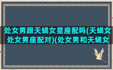 处女男跟天蝎女星座配吗(天蝎女处女男座配对)(处女男和天蝎女配对指数)