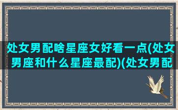 处女男配啥星座女好看一点(处女男座和什么星座最配)(处女男配什么星座配对)