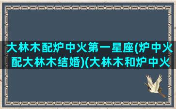 大林木配炉中火第一星座(炉中火配大林木结婚)(大林木和炉中火的婚姻怎么样)