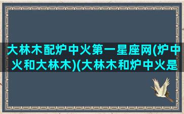 大林木配炉中火第一星座网(炉中火和大林木)(大林木和炉中火是什么意思)