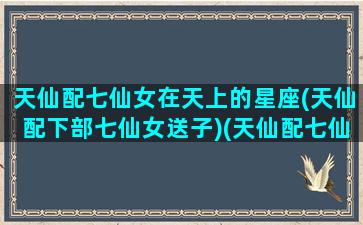 天仙配七仙女在天上的星座(天仙配下部七仙女送子)(天仙配七仙女的姓名)