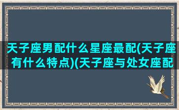 天子座男配什么星座最配(天子座有什么特点)(天子座与处女座配对指数)