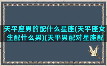 天平座男的配什么星座(天平座女生配什么男)(天平男配对星座配对)