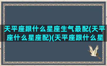 天平座跟什么星座生气最配(天平座什么星座配)(天平座跟什么星座般配)