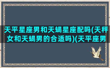 天平星座男和天蝎星座配吗(天秤女和天蝎男的合适吗)(天平座男和天蝎座女匹配度)