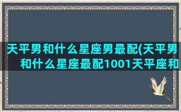 天平男和什么星座男最配(天平男和什么星座最配1001天平座和什么星座最配)