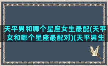 天平男和哪个星座女生最配(天平女和哪个星座最配对)(天平男生和12星座女生配对指数)