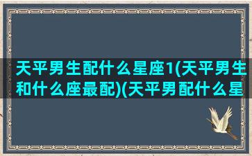 天平男生配什么星座1(天平男生和什么座最配)(天平男配什么星座女)