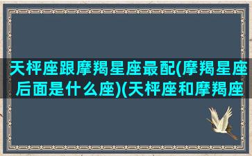 天枰座跟摩羯星座最配(摩羯星座后面是什么座)(天枰座和摩羯座合适嘛)