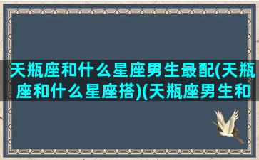 天瓶座和什么星座男生最配(天瓶座和什么星座搭)(天瓶座男生和什么星座最配女生)